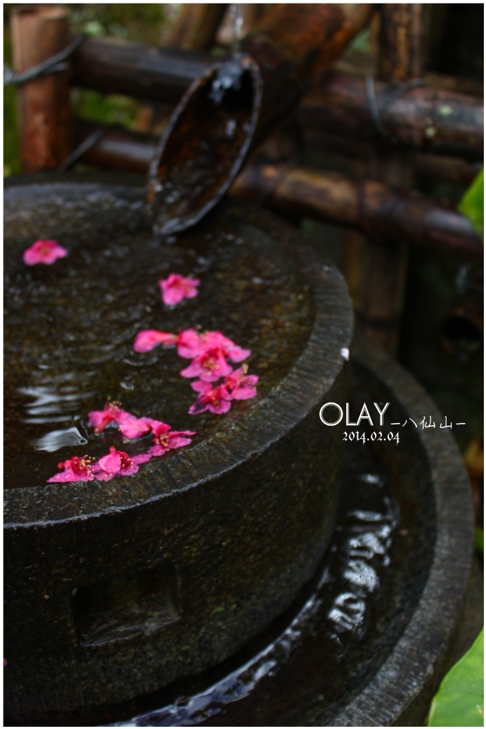 IMG_2410.JPG IMG_2410.JPG