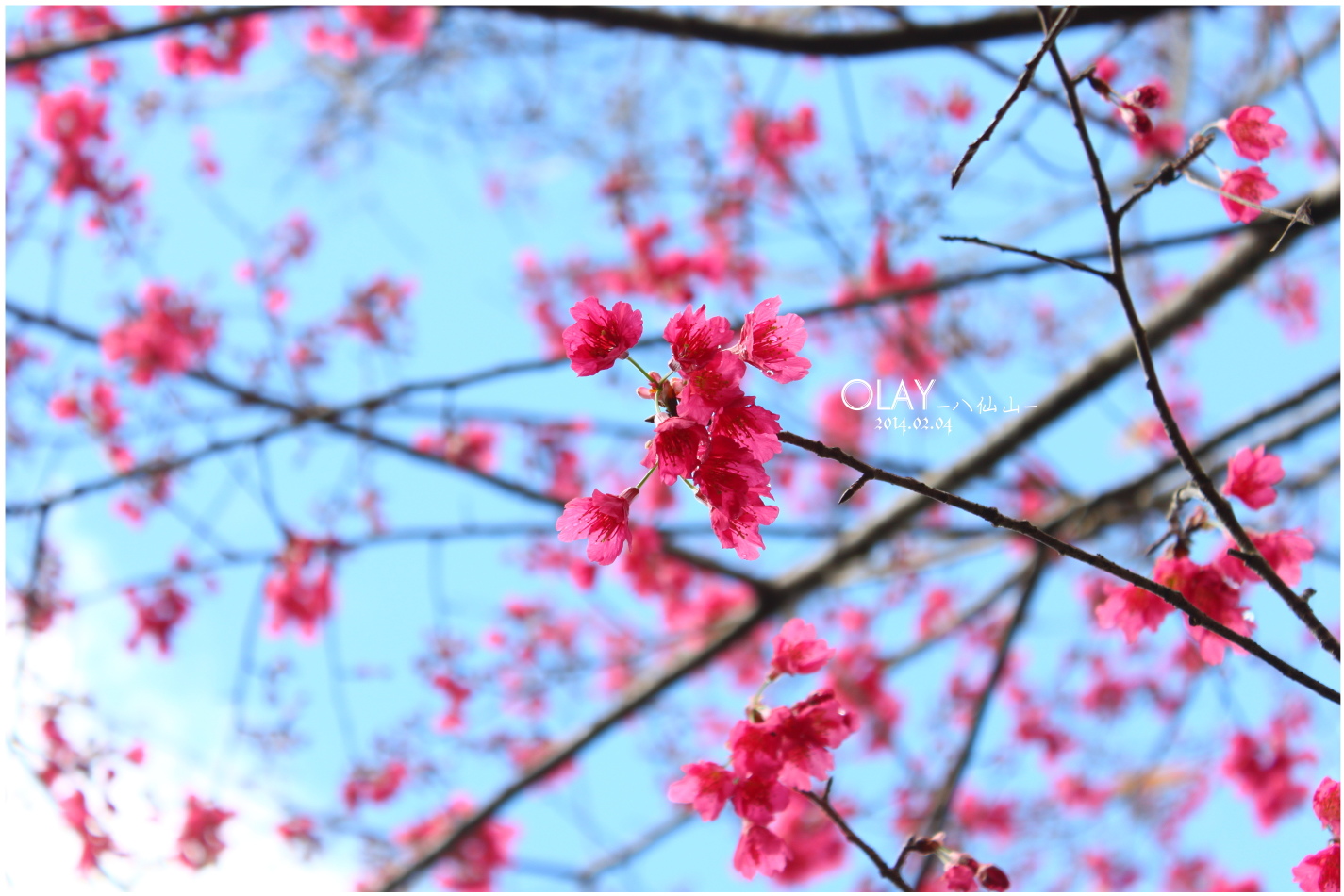 IMG_2441.JPG IMG_2441.JPG