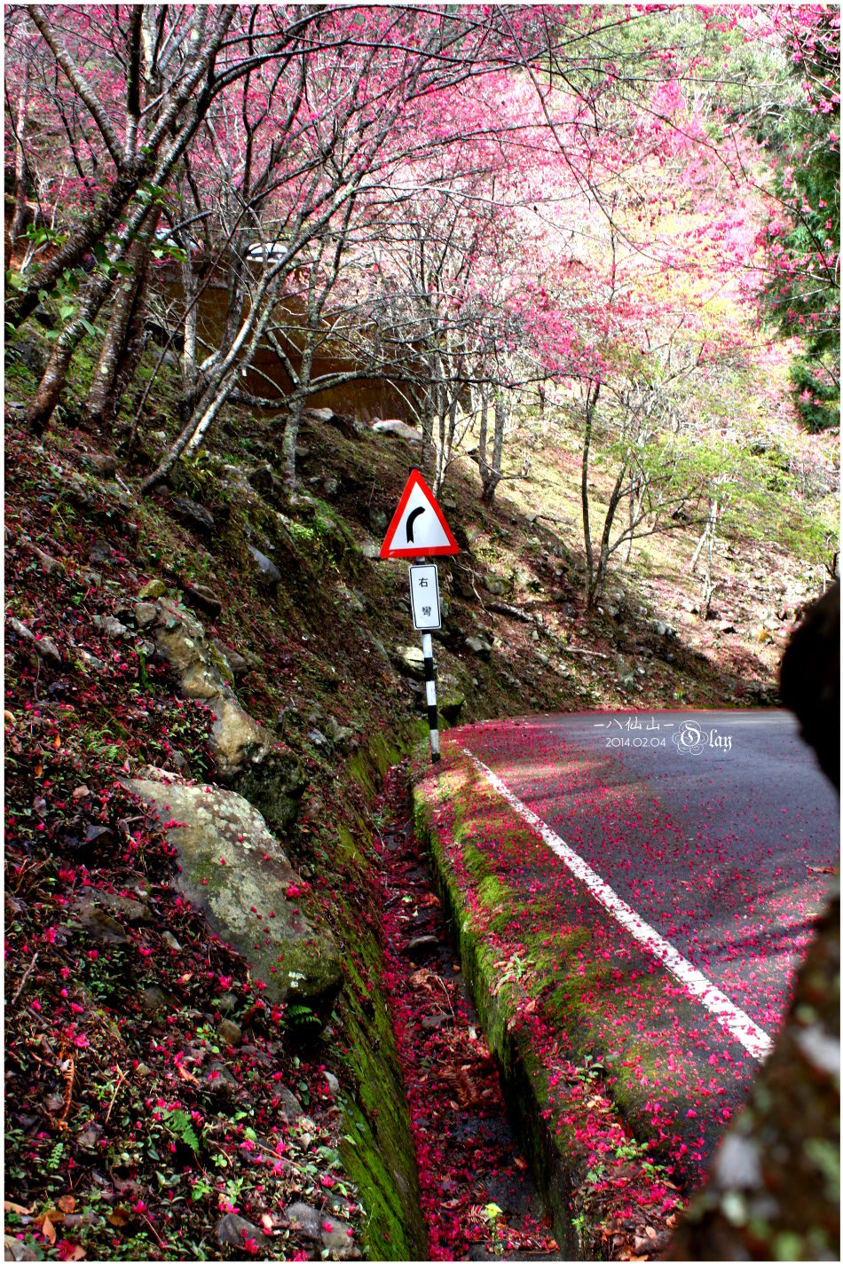 IMG_2466.JPG IMG_2466.JPG