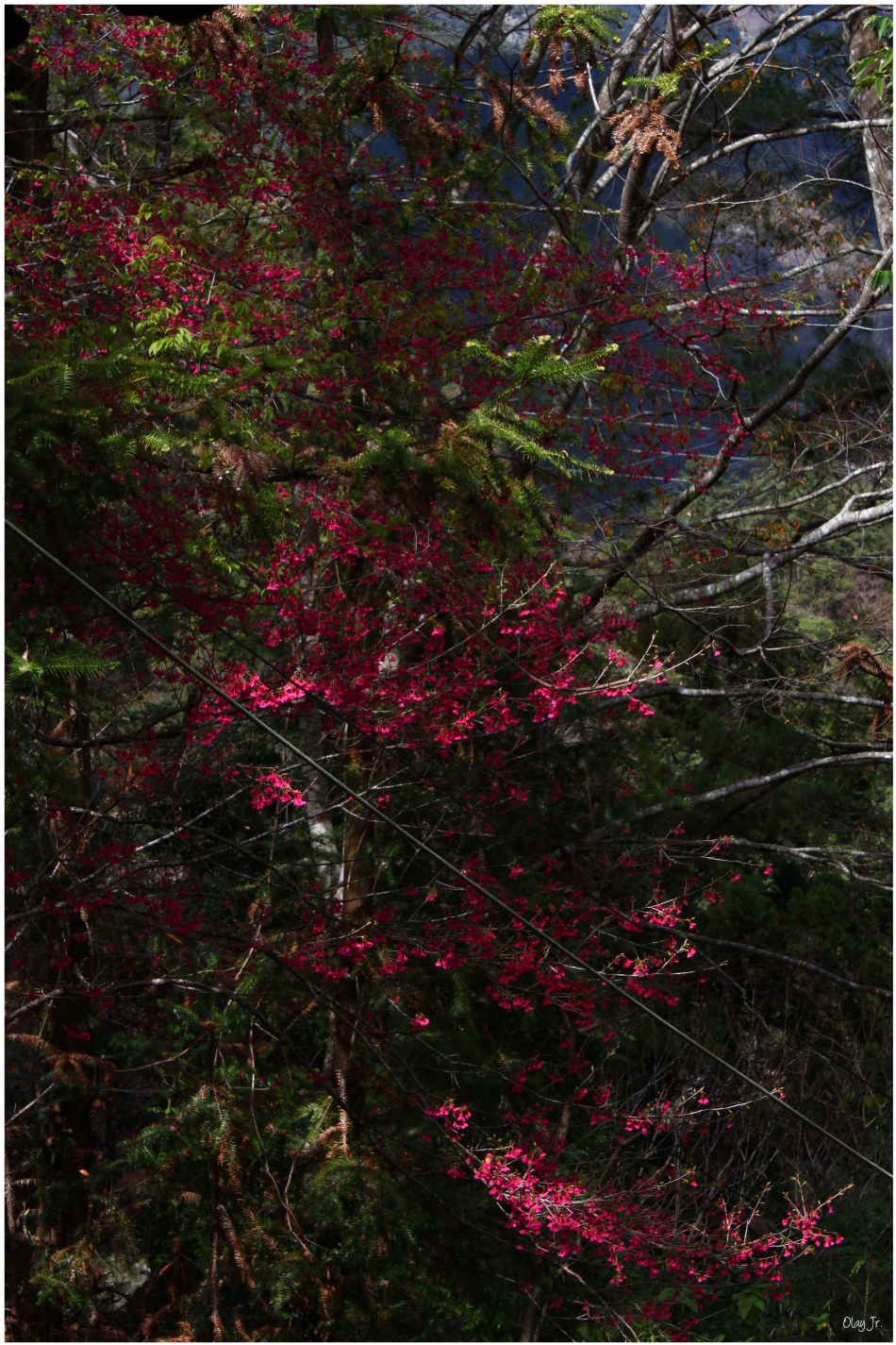 IMG_2472.JPG IMG_2472.JPG