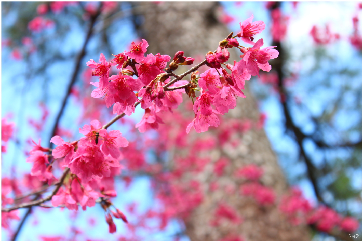 IMG_2476.JPG IMG_2476.JPG