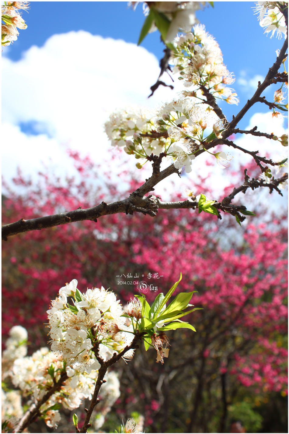 IMG_2488.JPG IMG_2488.JPG