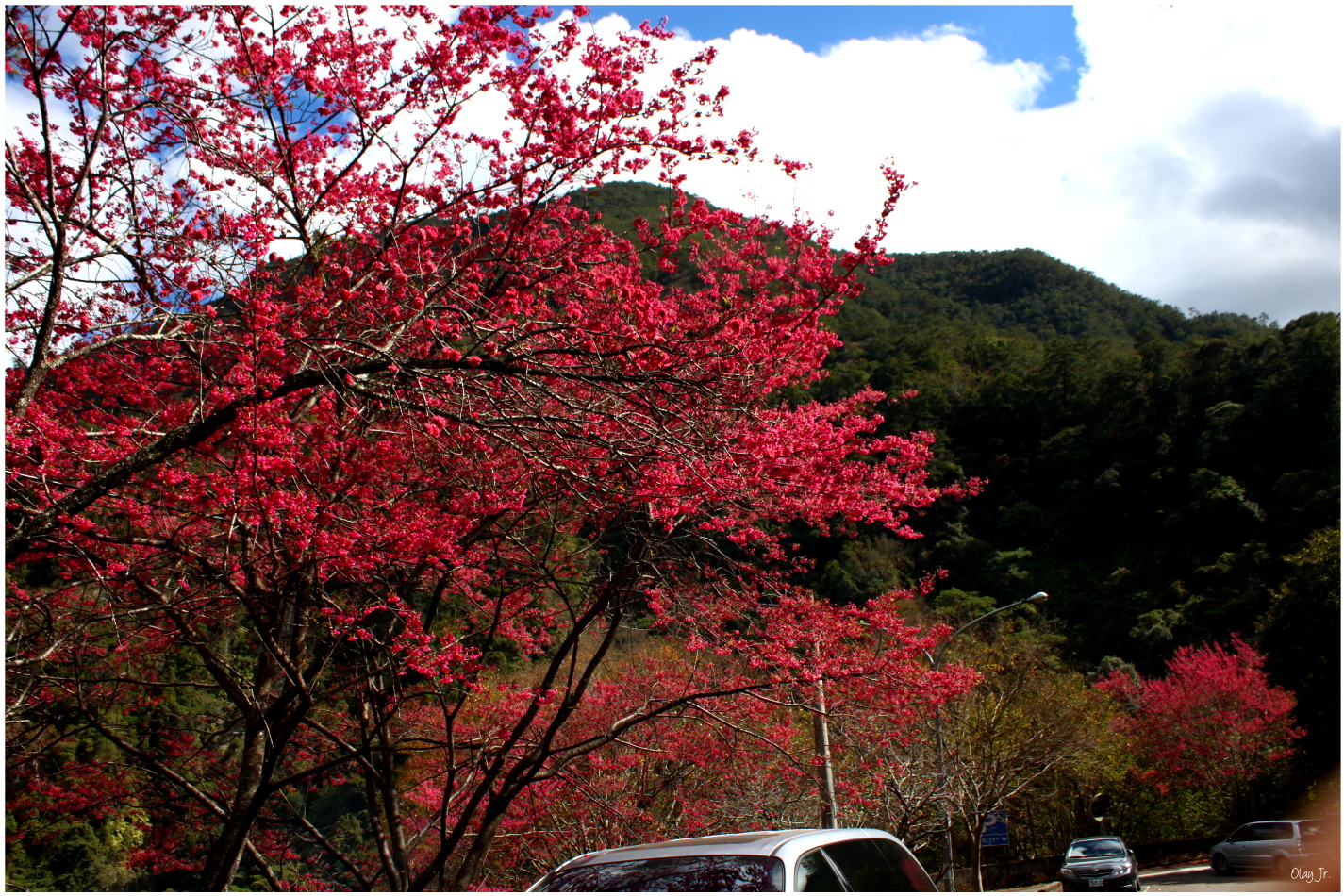 IMG_2490.JPG IMG_2490.JPG