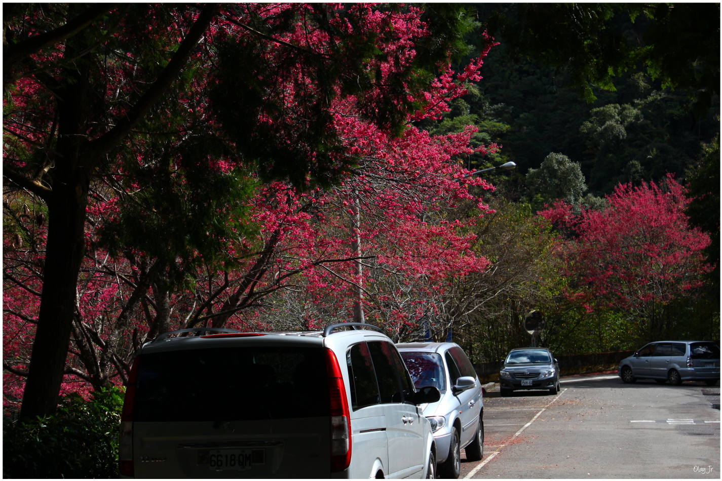 IMG_2491.JPG IMG_2491.JPG