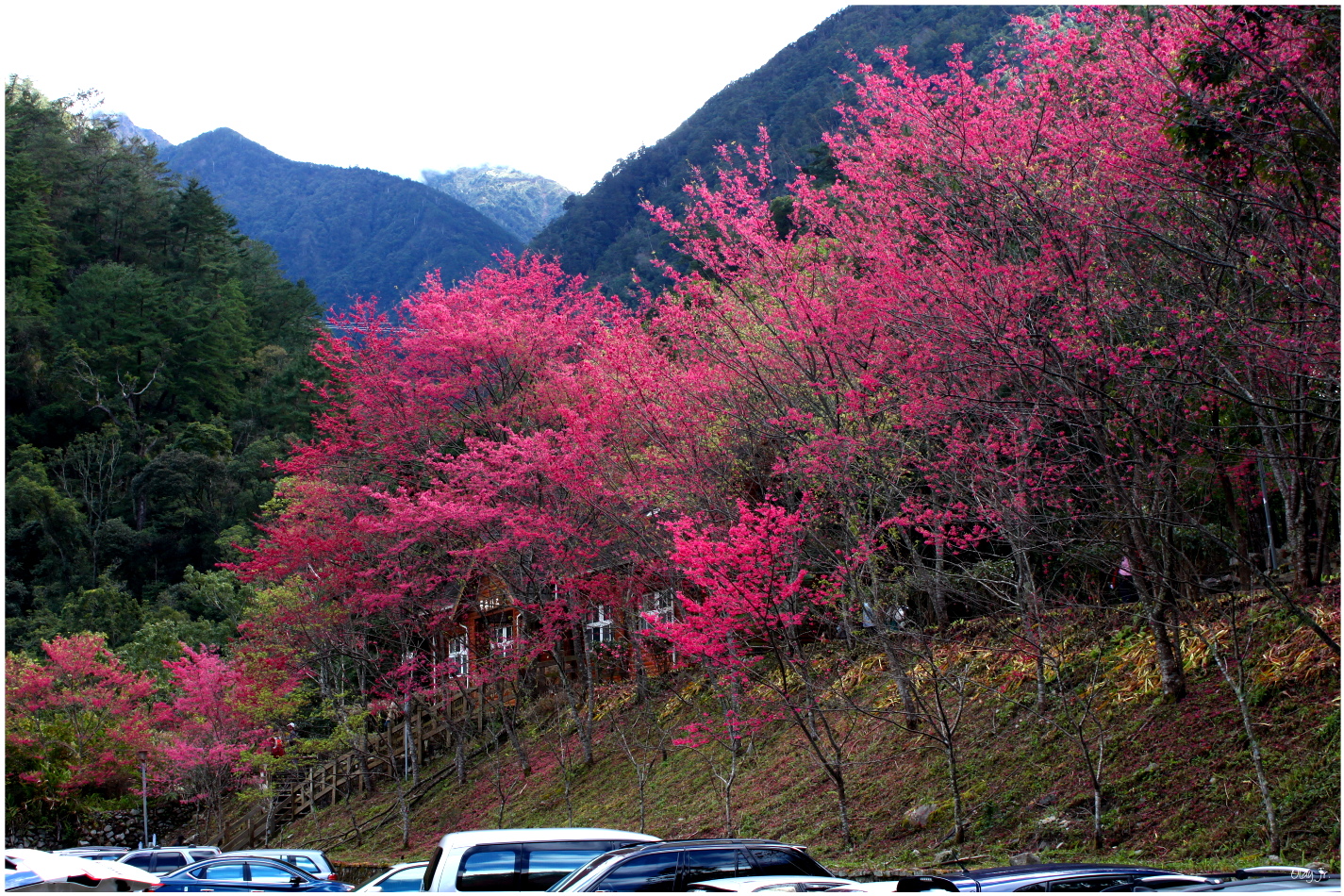 IMG_2493.JPG IMG_2493.JPG