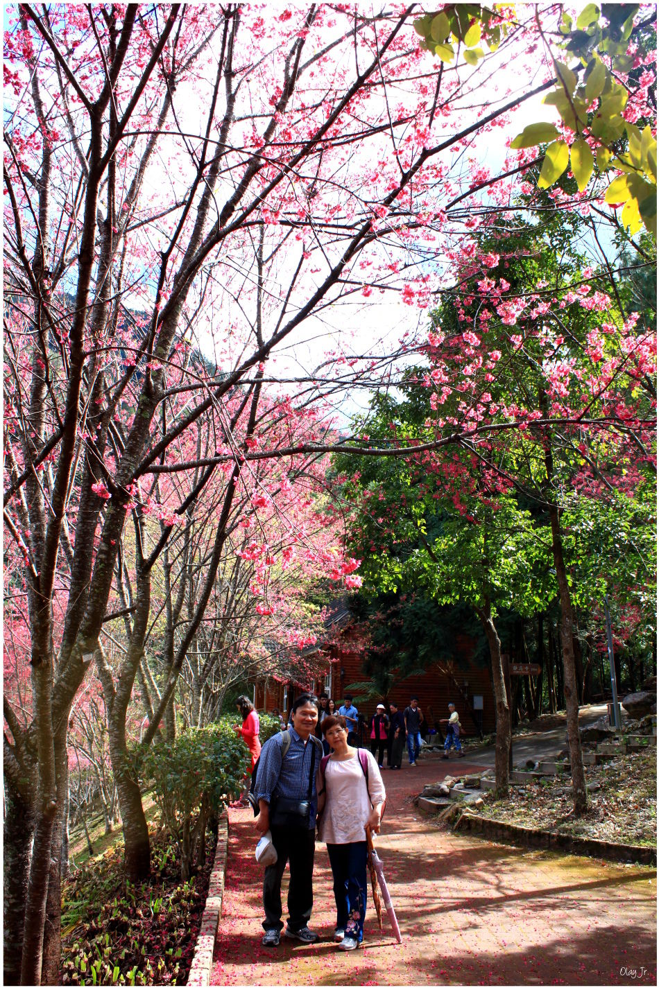 IMG_2517.JPG IMG_2517.JPG