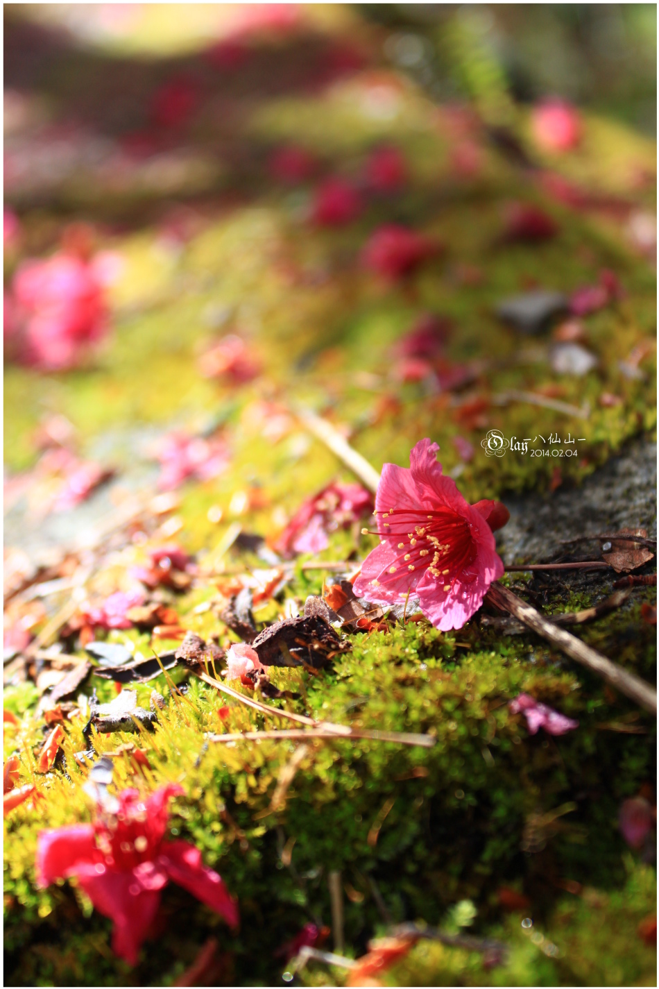 IMG_2527.JPG IMG_2527.JPG