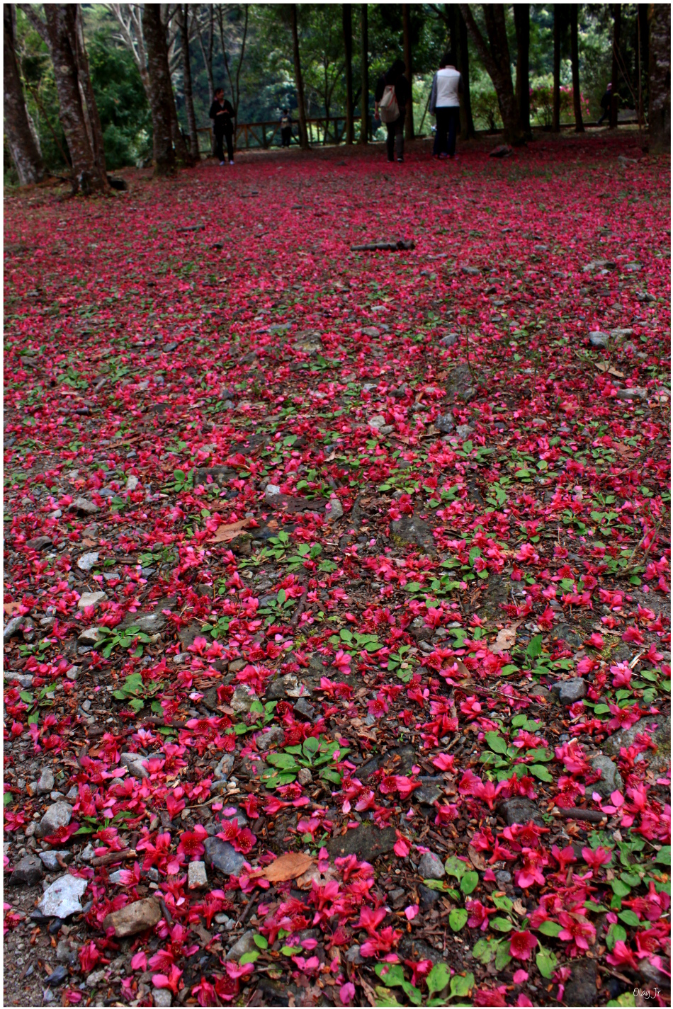 IMG_2540.JPG IMG_2540.JPG