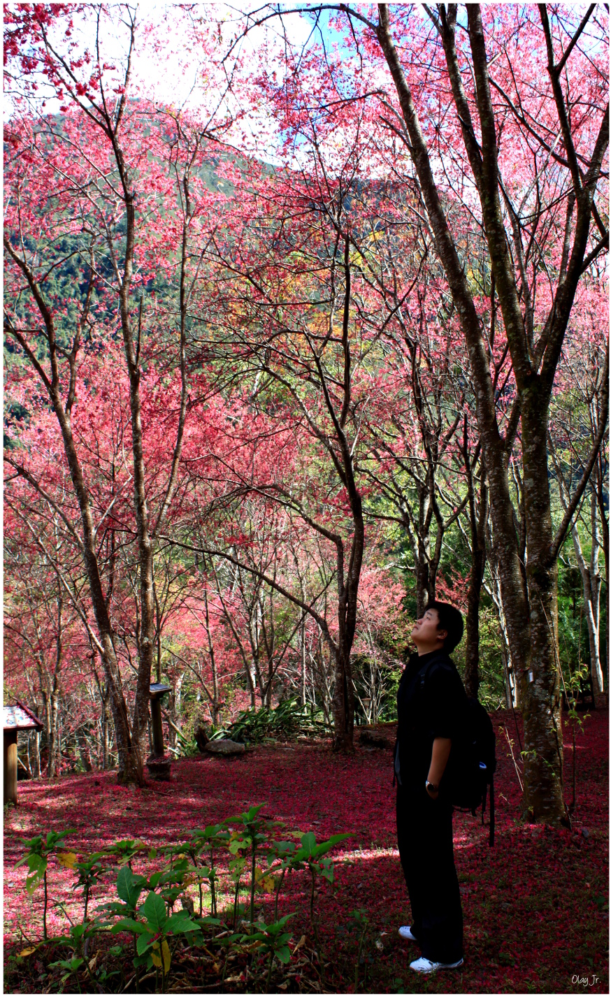 IMG_2556.JPG IMG_2556.JPG