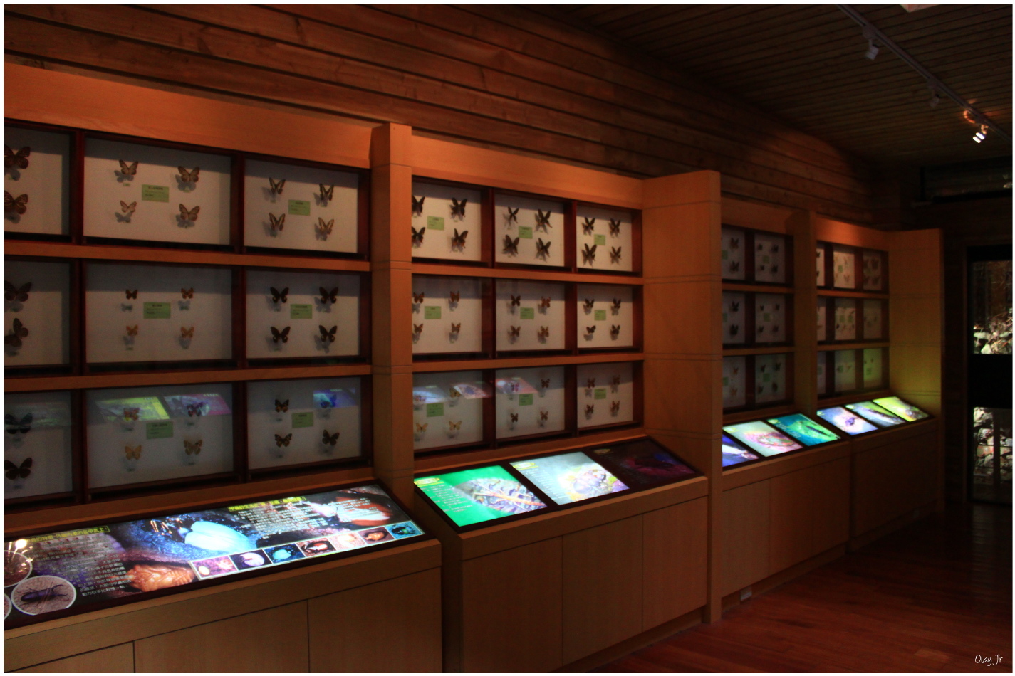 IMG_2558.JPG IMG_2558.JPG