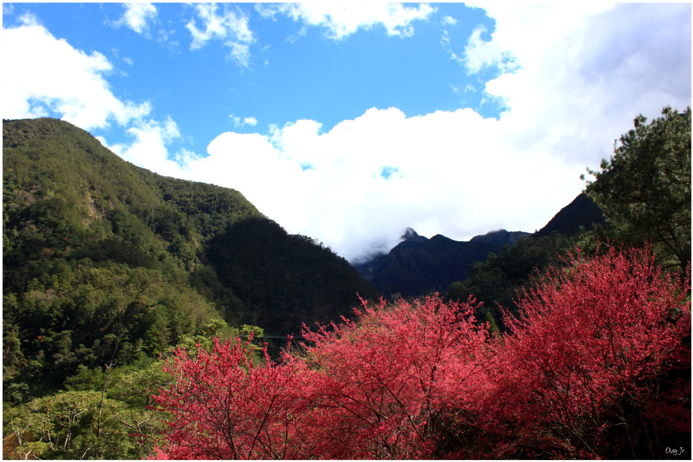 IMG_2568.JPG IMG_2568.JPG