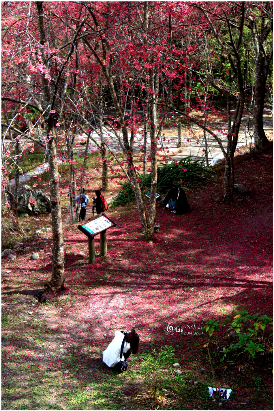 IMG_2575.JPG IMG_2575.JPG