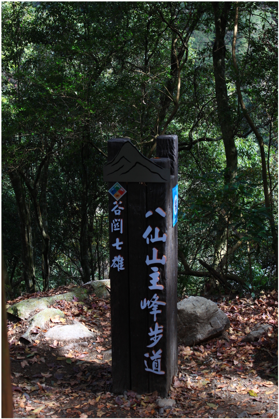 IMG_2583.JPG IMG_2583.JPG