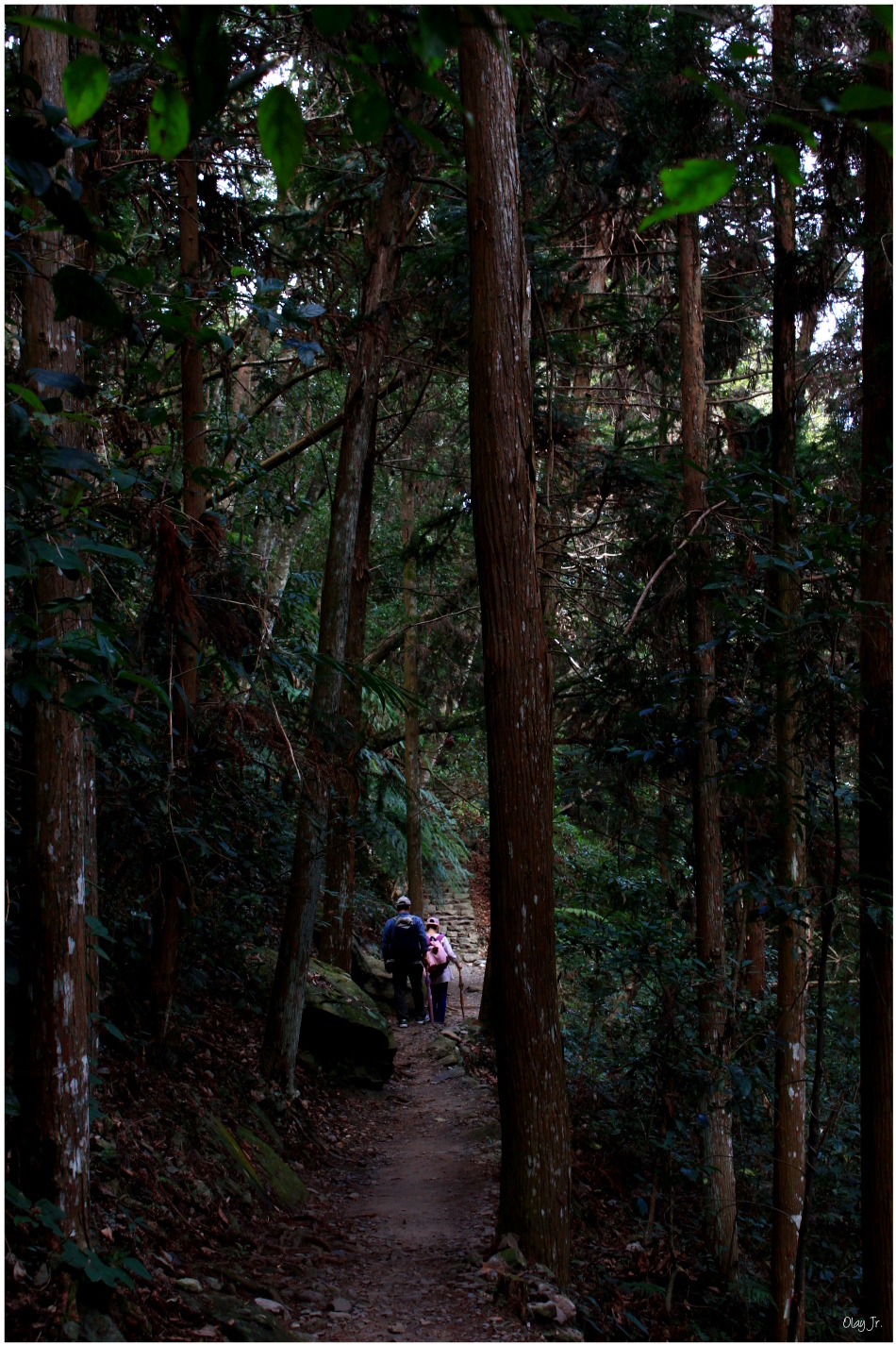 IMG_2588.JPG IMG_2588.JPG