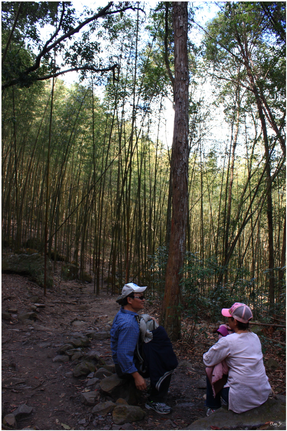 IMG_2597.JPG IMG_2597.JPG