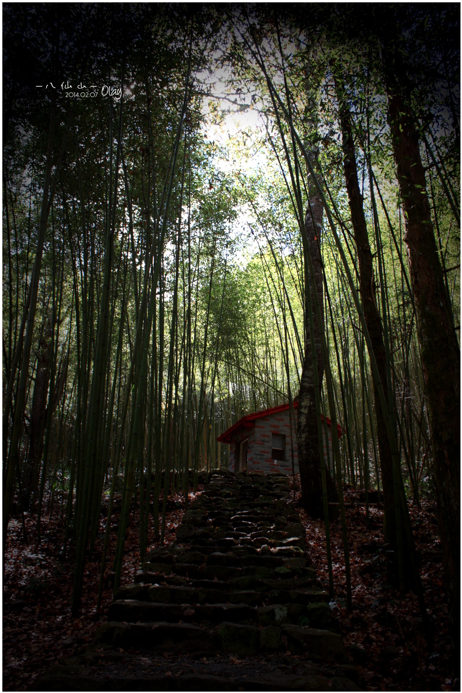 IMG_2604.JPG IMG_2604.JPG