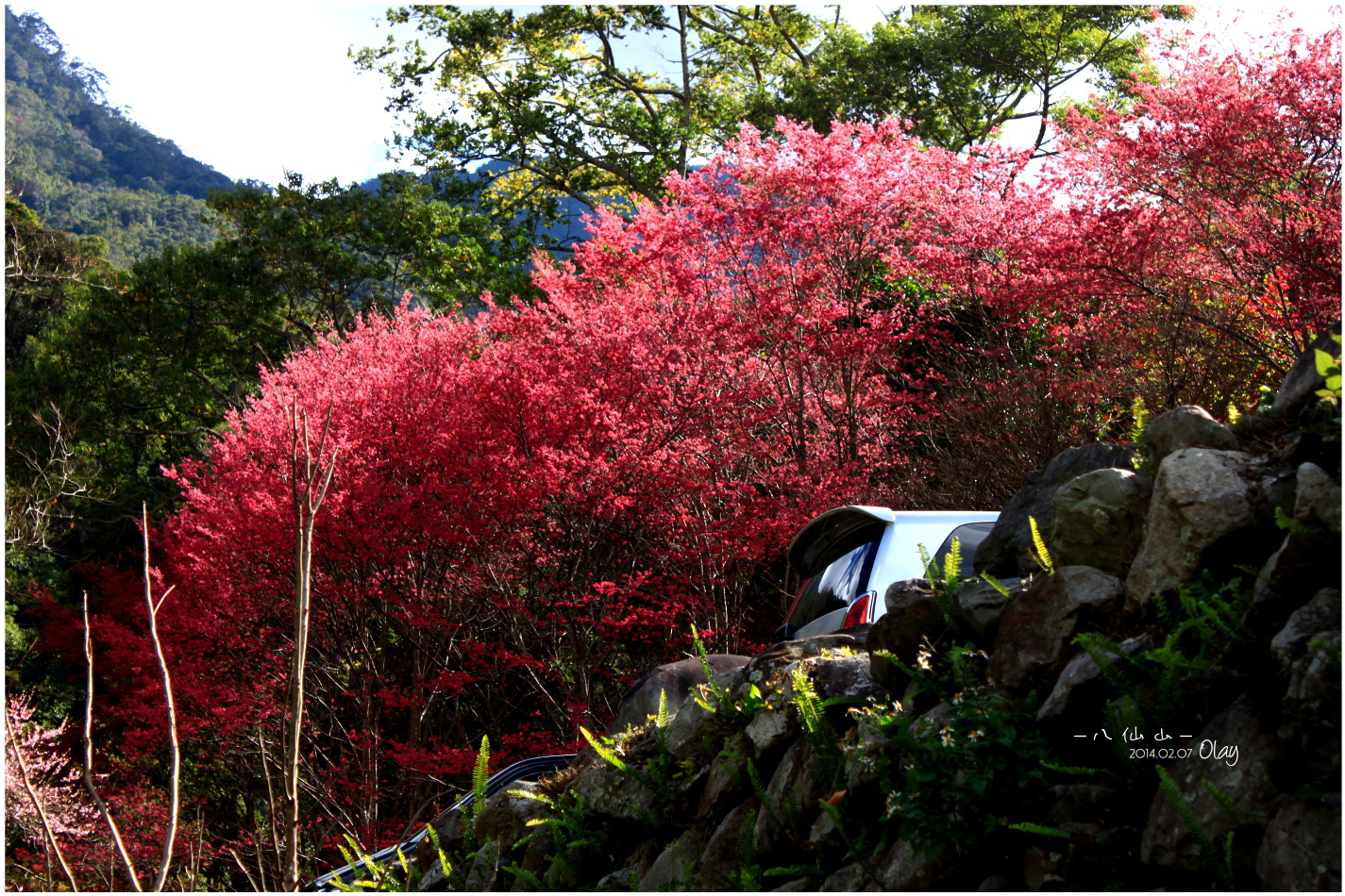 IMG_2700.JPG IMG_2700.JPG