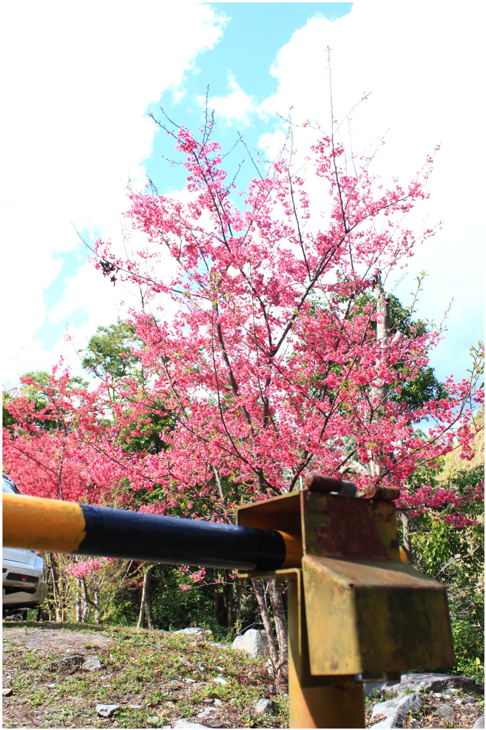 IMG_2702.JPG IMG_2702.JPG