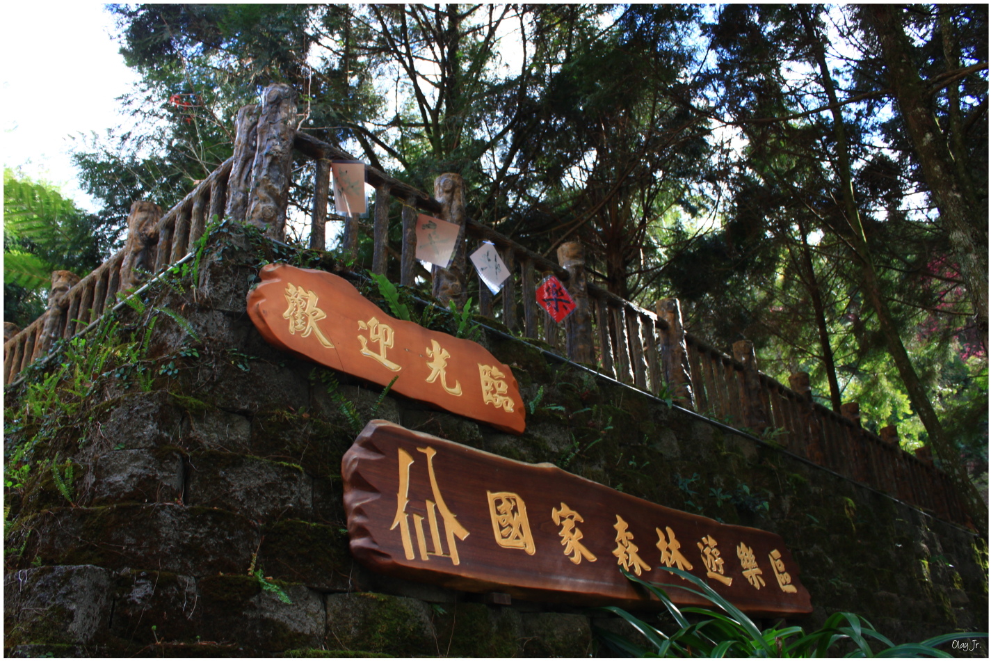 IMG_2706.JPG IMG_2706.JPG