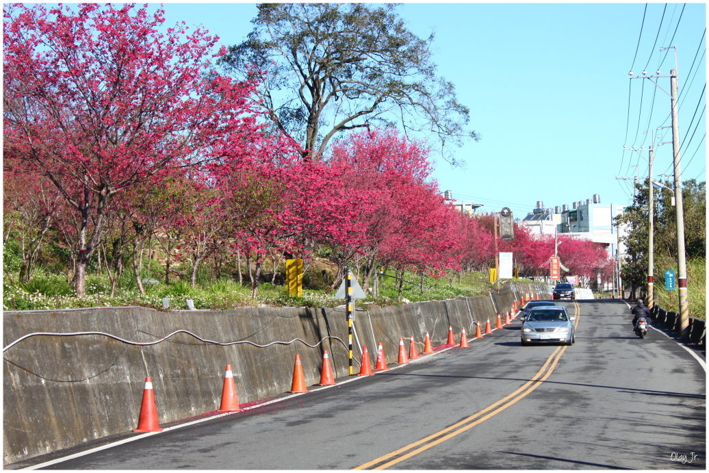 IMG_2363.JPG IMG_2363.JPG