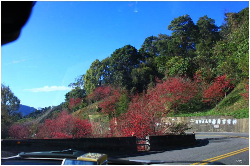 IMG_2368.JPG IMG_2368.JPG