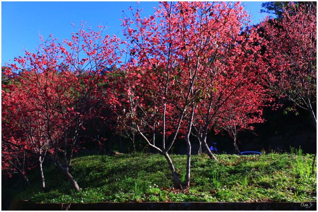 IMG_2372.JPG IMG_2372.JPG