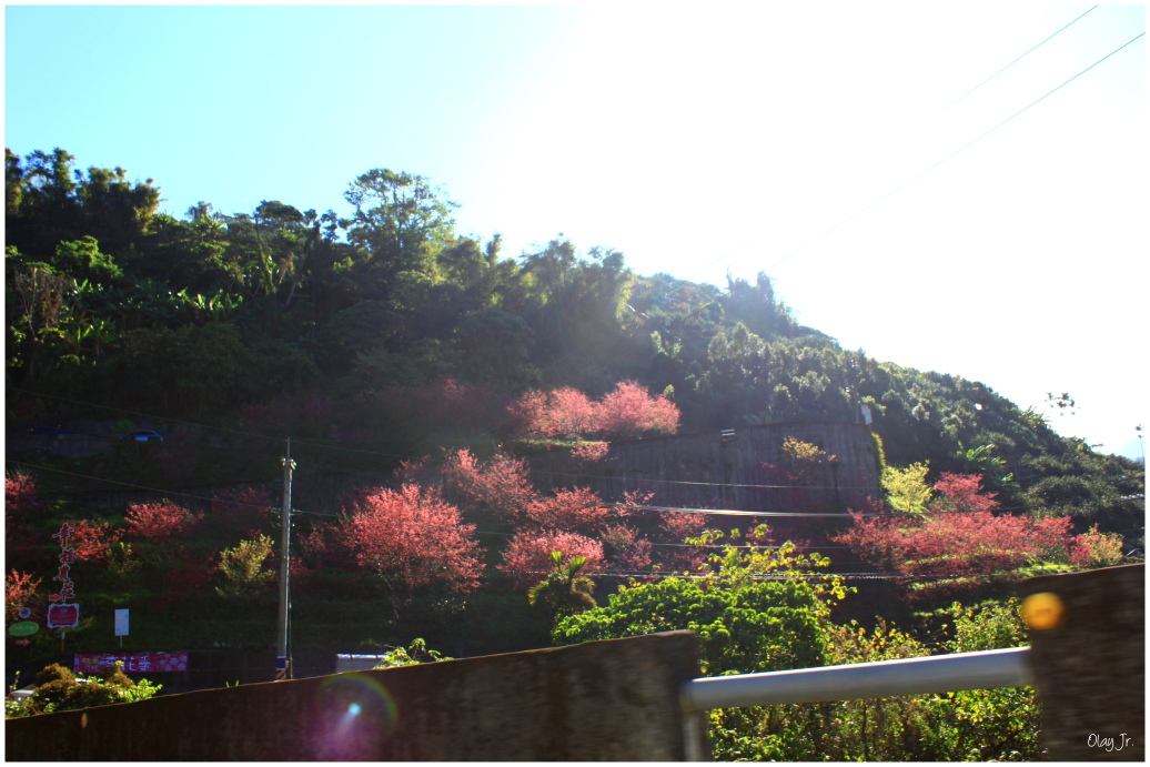 IMG_2373.JPG IMG_2373.JPG