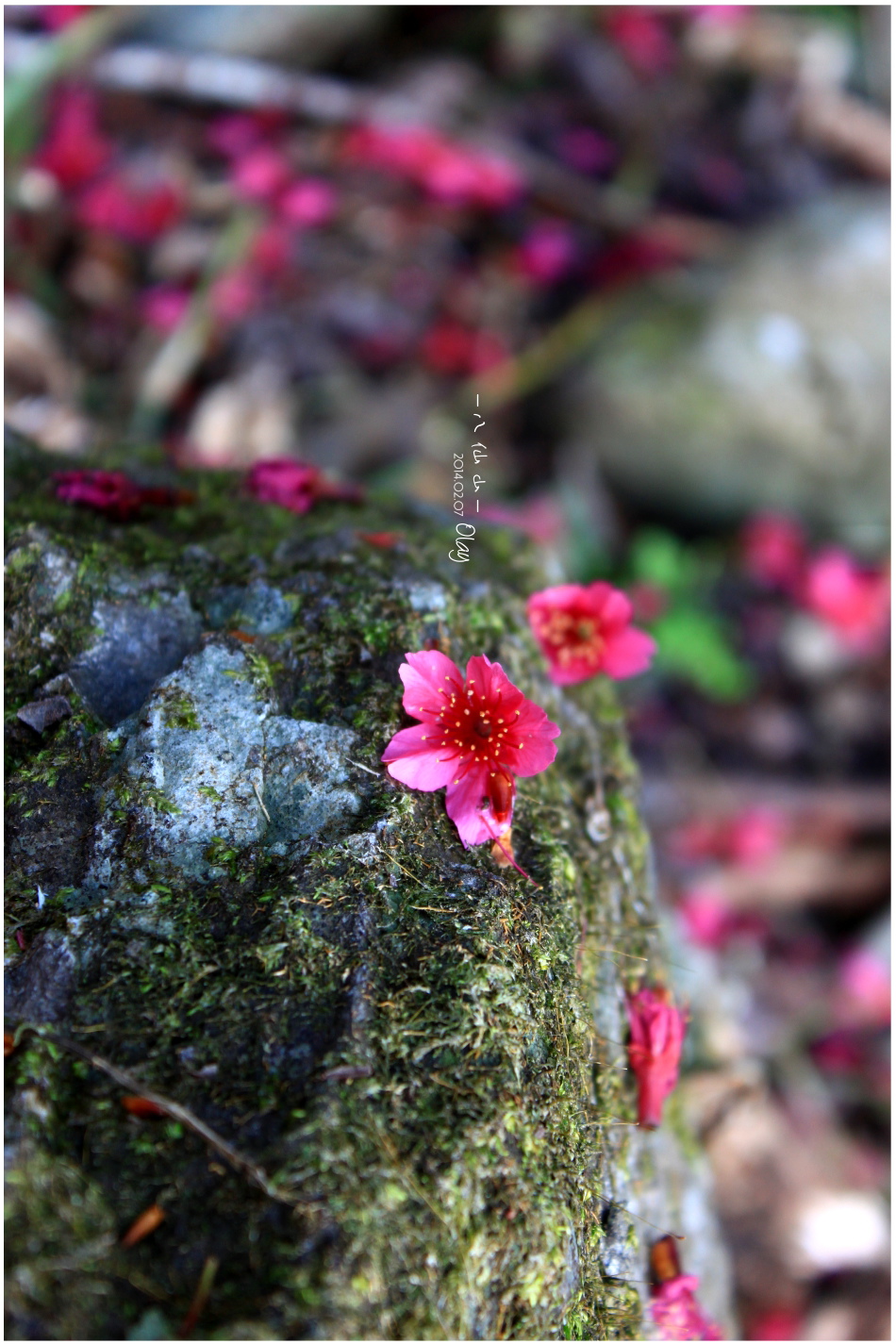 IMG_2622.JPG IMG_2622.JPG