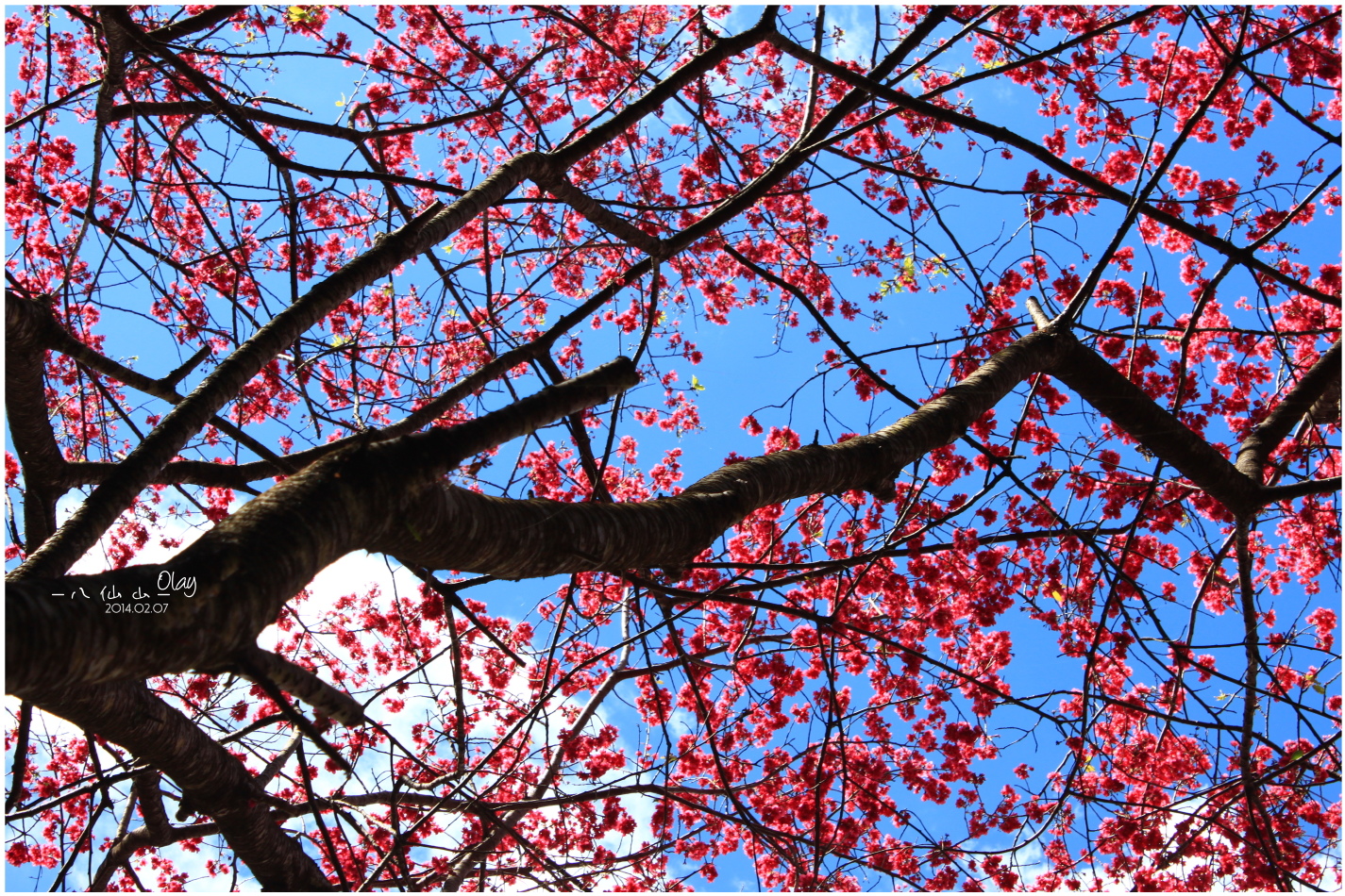 IMG_2660.JPG IMG_2660.JPG