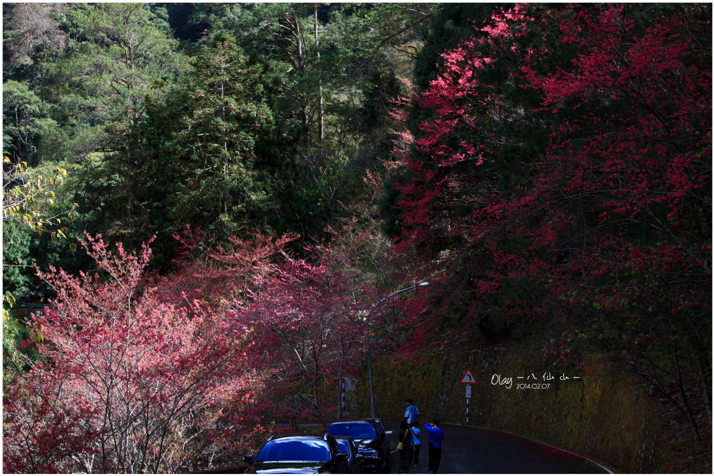 IMG_2668.JPG IMG_2668.JPG