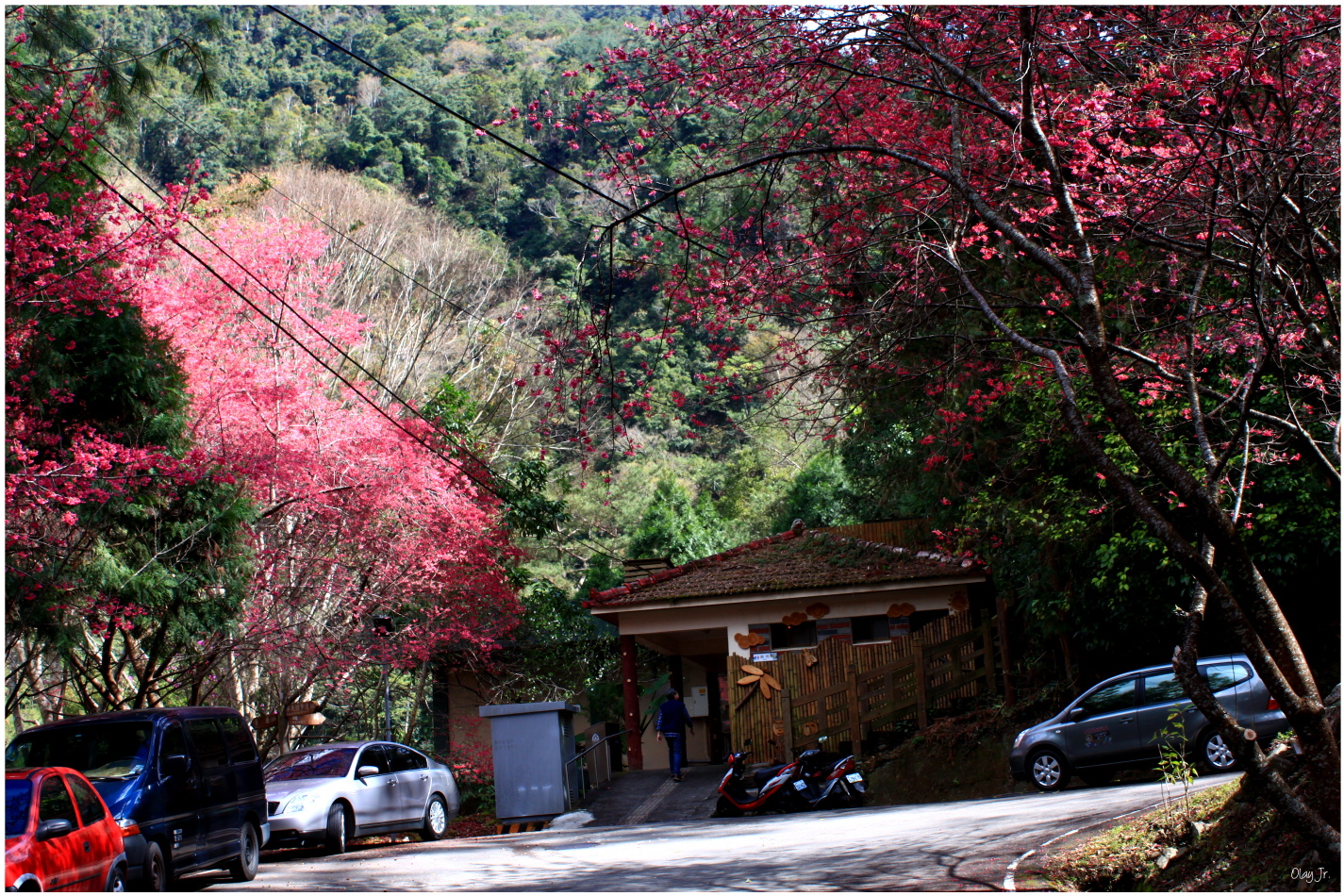 IMG_2676.JPG IMG_2676.JPG