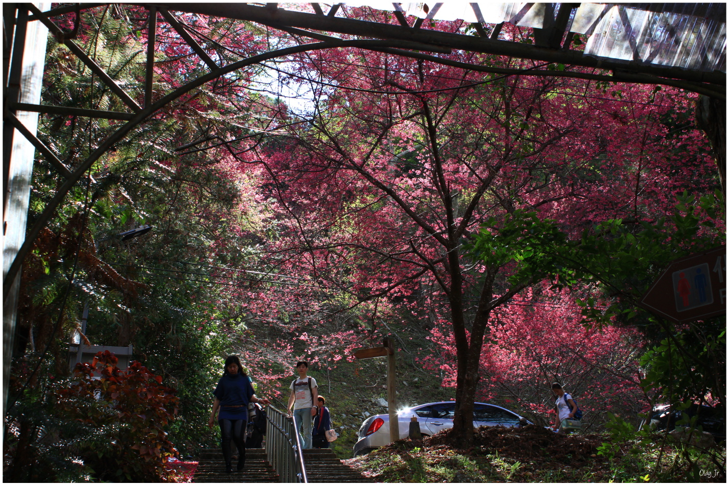 IMG_2684.JPG IMG_2684.JPG