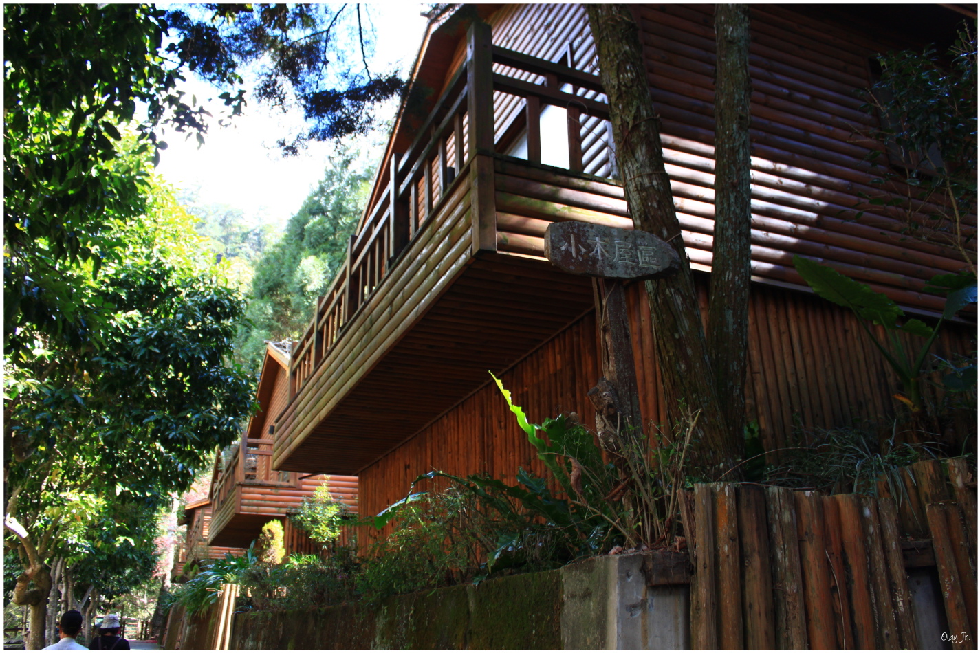 IMG_2685.JPG IMG_2685.JPG