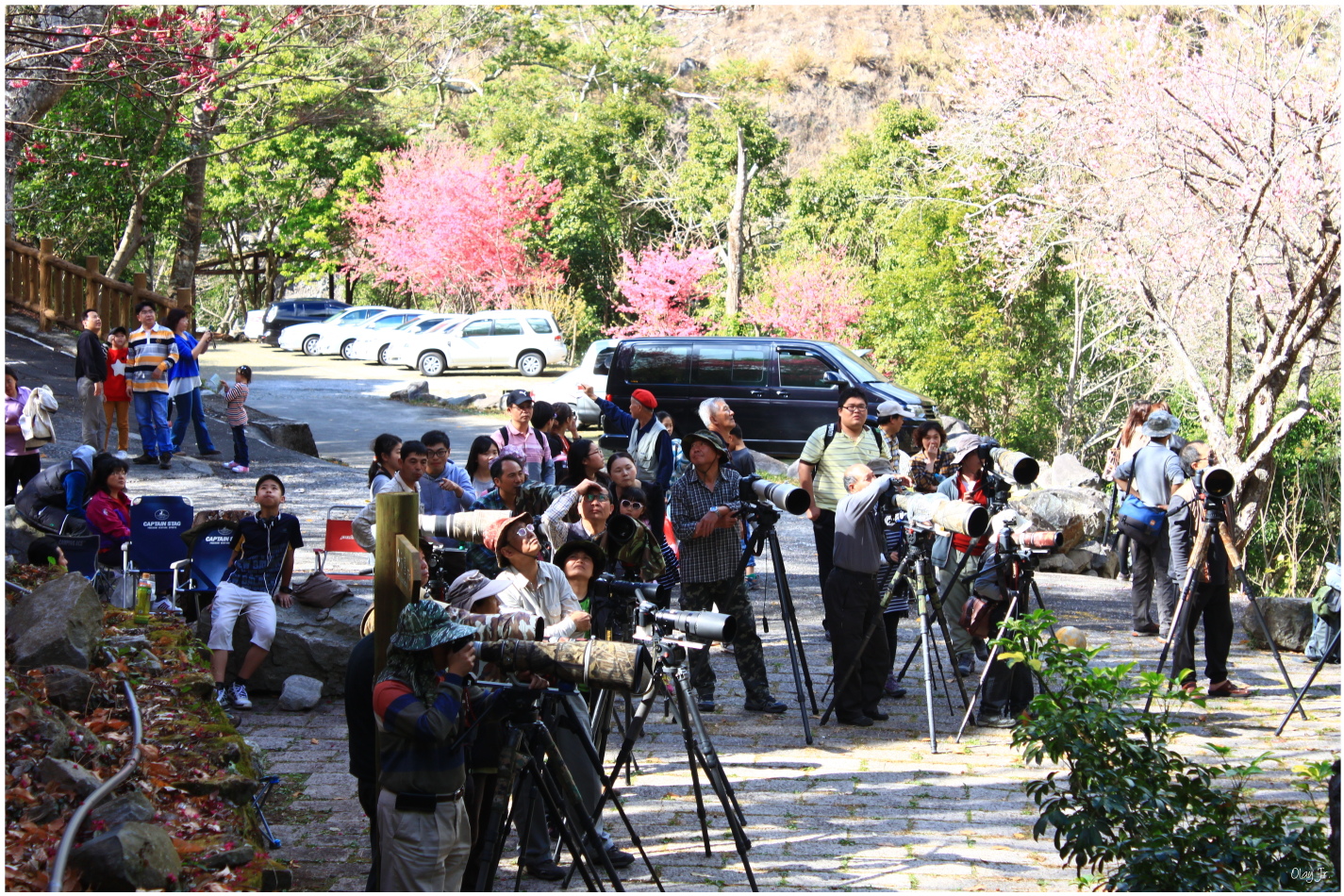 IMG_2688.JPG IMG_2688.JPG