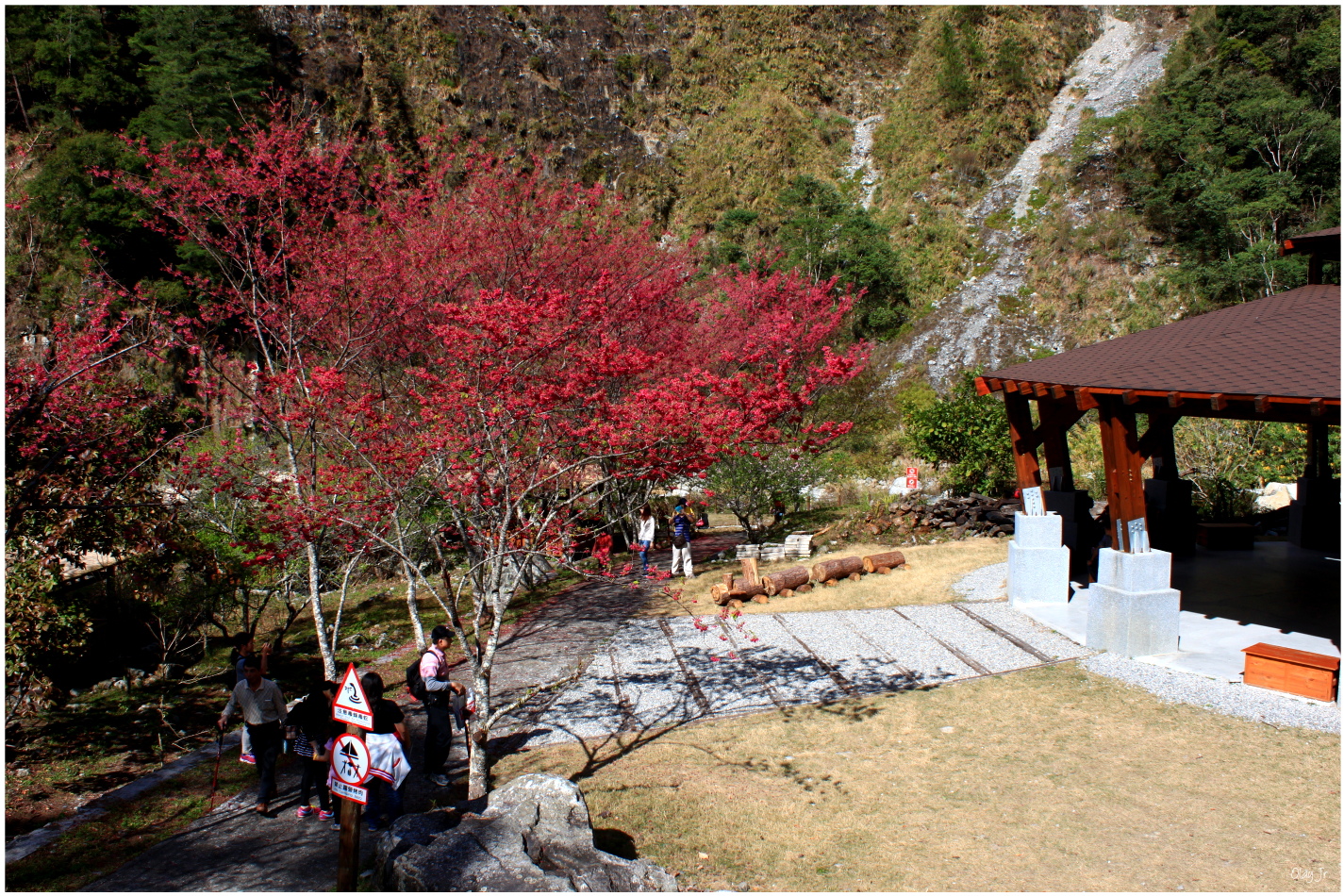 IMG_2693.JPG IMG_2693.JPG