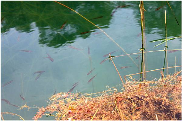 IMG_3751.JPG IMG_3751.JPG