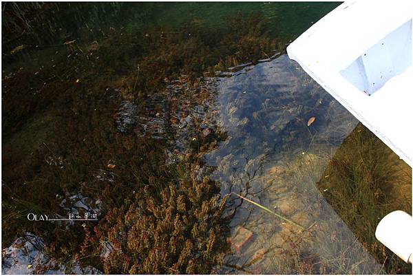 IMG_3786.JPG IMG_3786.JPG