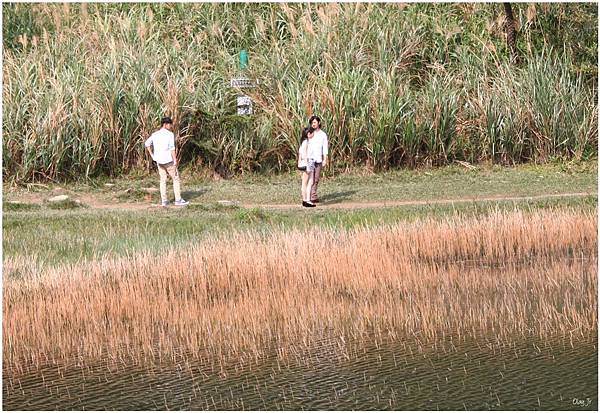 IMG_3862.JPG IMG_3862.JPG