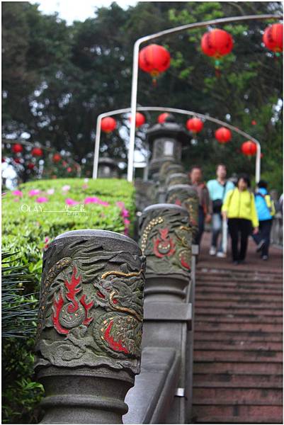 IMG_3886.JPG IMG_3886.JPG