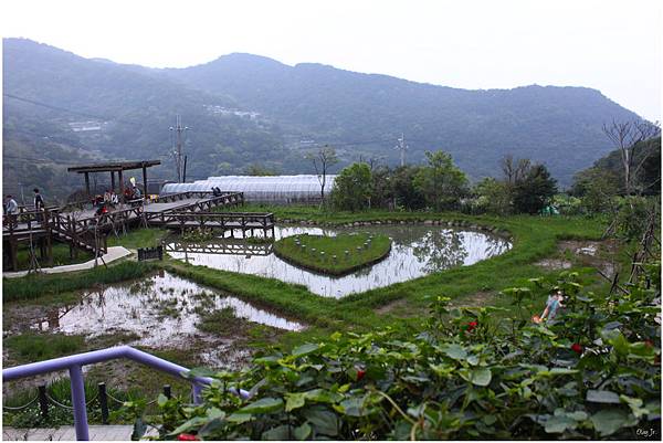 IMG_3972.JPG IMG_3972.JPG