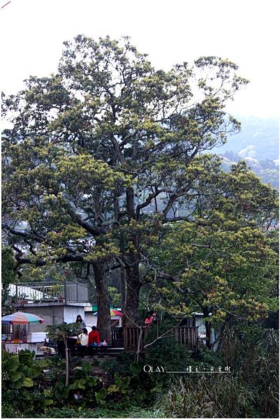 IMG_3975.JPG IMG_3975.JPG