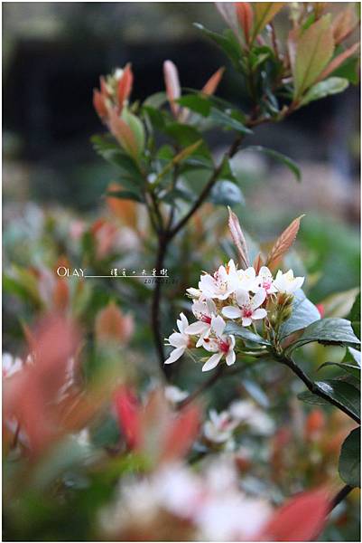 IMG_3978.JPG IMG_3978.JPG