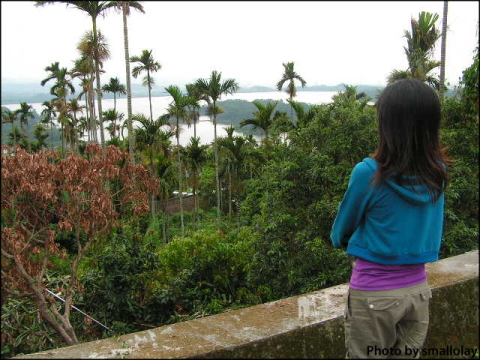 往半天岩的路上.jpg 往半天岩的路上.jpg