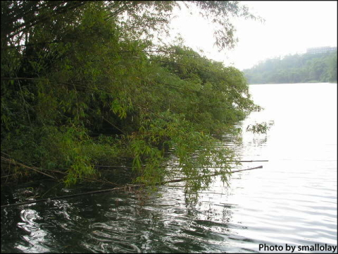 蘭潭一隅.jpg 蘭潭一隅.jpg