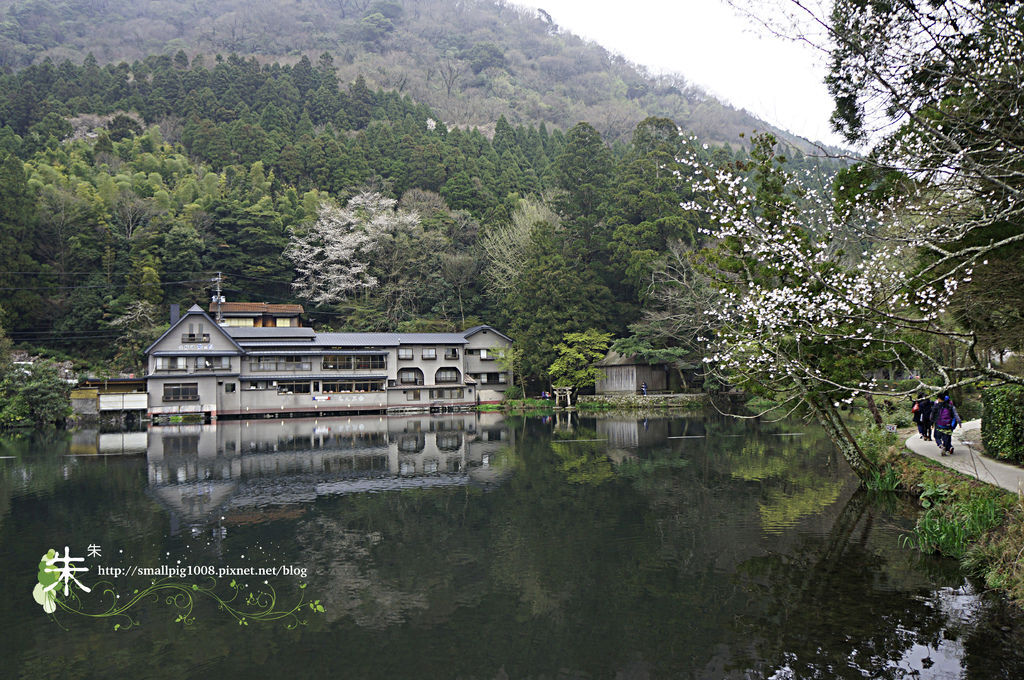 1DSC0716.jpg 1DSC0716.jpg