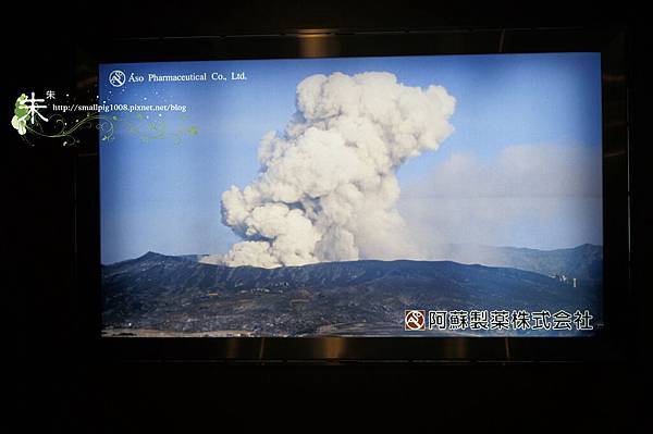 1DSC0803.jpg 1DSC0803.jpg