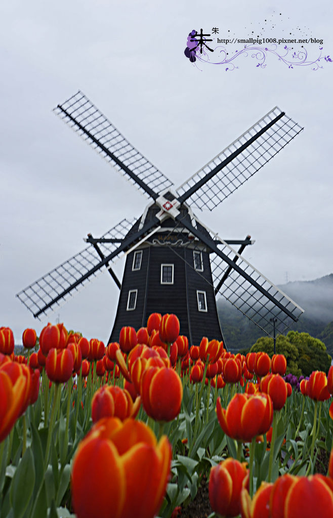 1DSC1030.jpg 1DSC1030.jpg