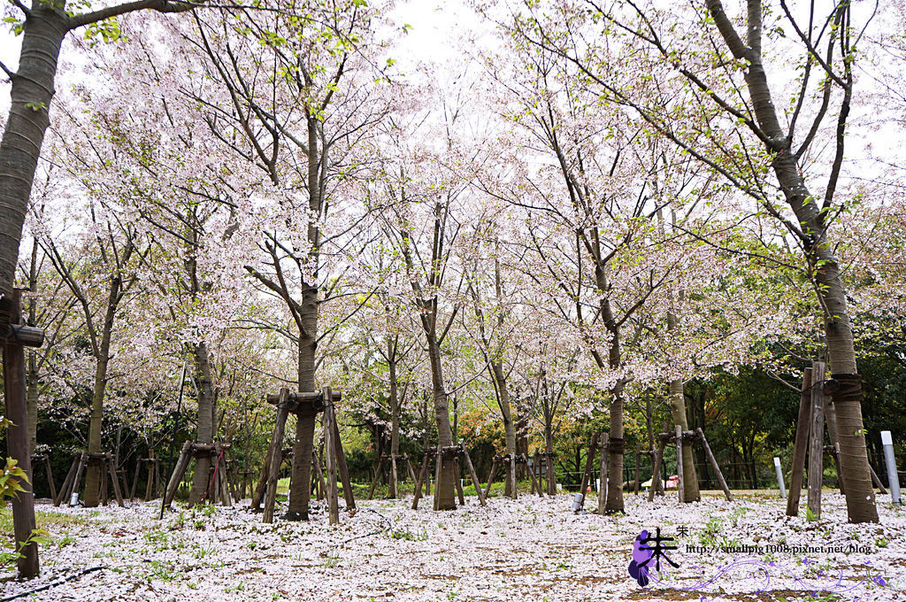 1DSC1066.jpg 1DSC1066.jpg