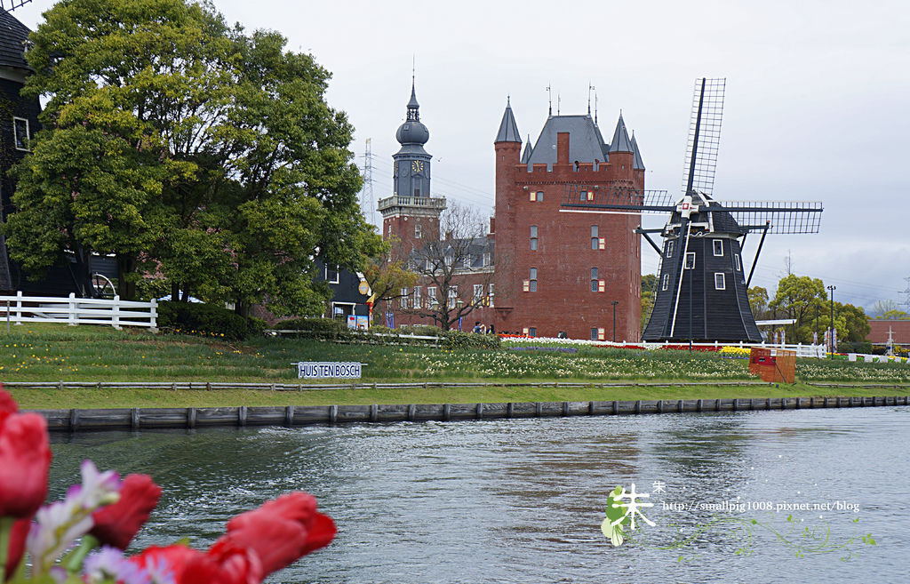 1DSC1082.jpg 1DSC1082.jpg