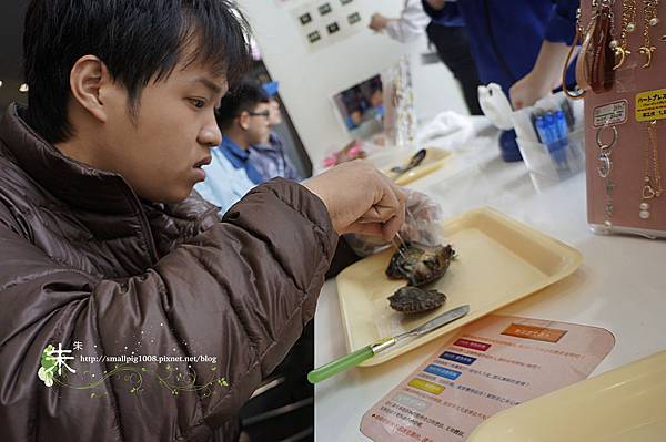 1DSC1282.jpg 1DSC1282.jpg